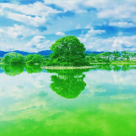 貴志川町 平池 REFLECTION 13_tsuyoshi_tamaki