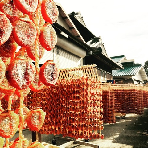 四季の里に伝わる串柿作り erisetoyama